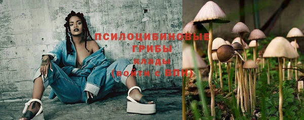 твердый Алексеевка