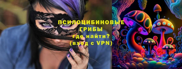 прущая мука Алзамай