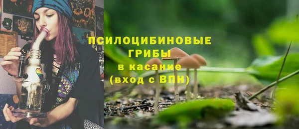 амф Абинск